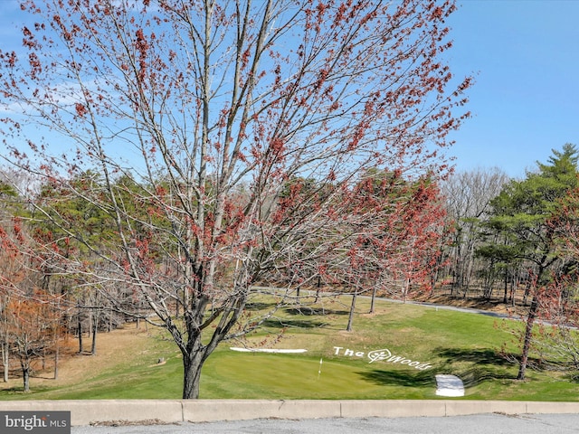 view of property's community with a yard