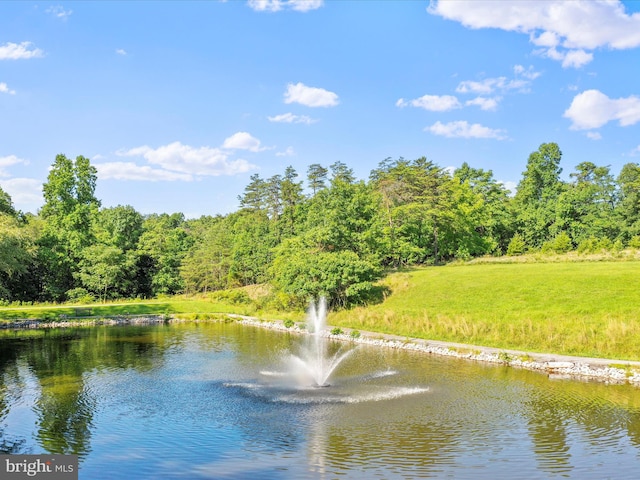 view of water feature