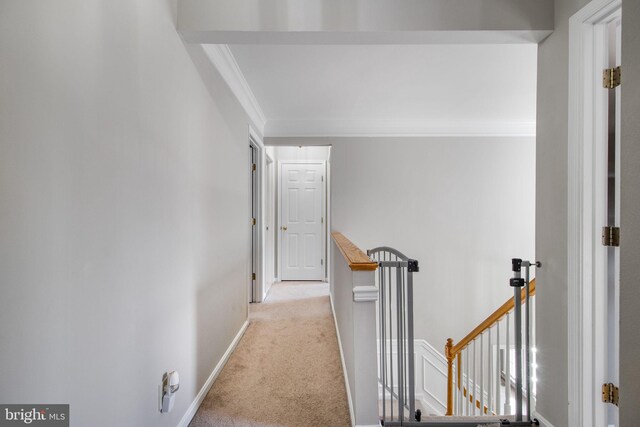 corridor featuring light colored carpet and ornamental molding