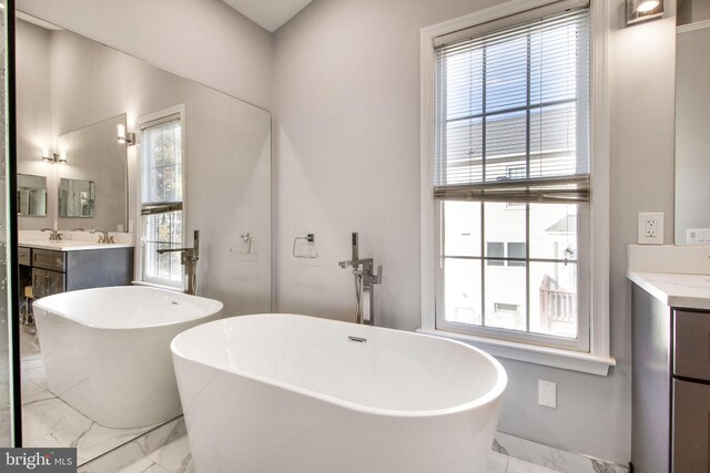 bathroom featuring vanity, a tub, and plenty of natural light