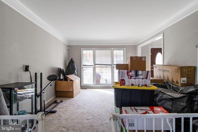 bedroom featuring carpet flooring and crown molding