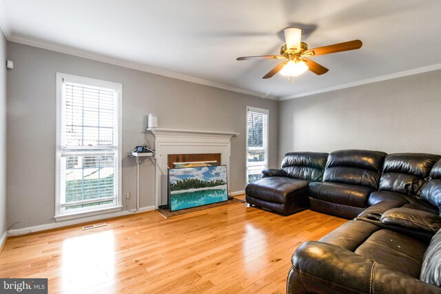 living room featuring light hardwood / wood-style floors, ceiling fan, and ornamental molding