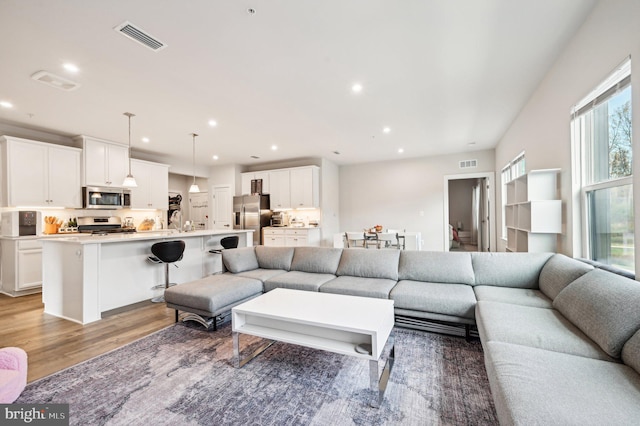 living room with hardwood / wood-style flooring and sink