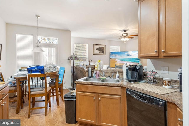 kitchen with ceiling fan, sink, black dishwasher, pendant lighting, and light wood-type flooring