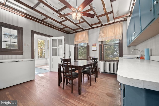 dining space with radiator, ceiling fan, sink, and dark hardwood / wood-style flooring