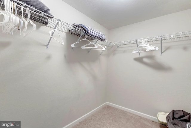 walk in closet with carpet