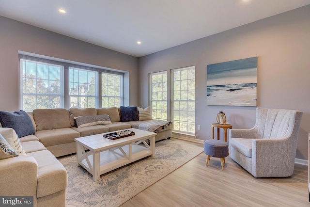 living room with light hardwood / wood-style floors