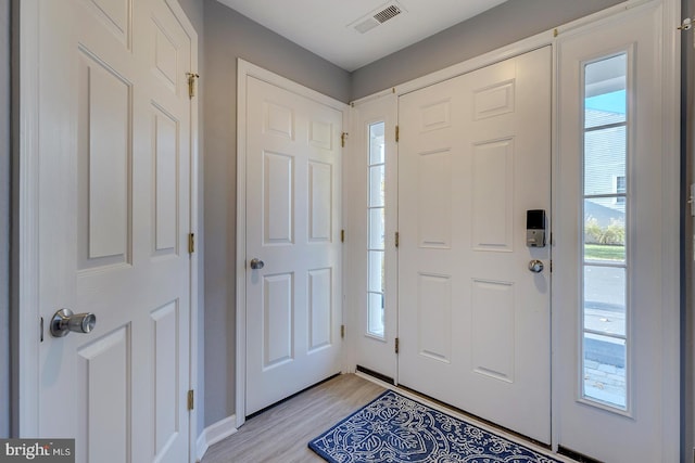 entryway featuring light wood-type flooring and plenty of natural light