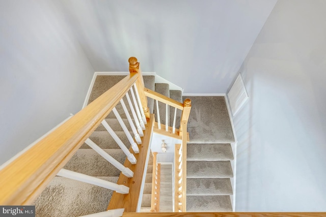 staircase featuring carpet floors