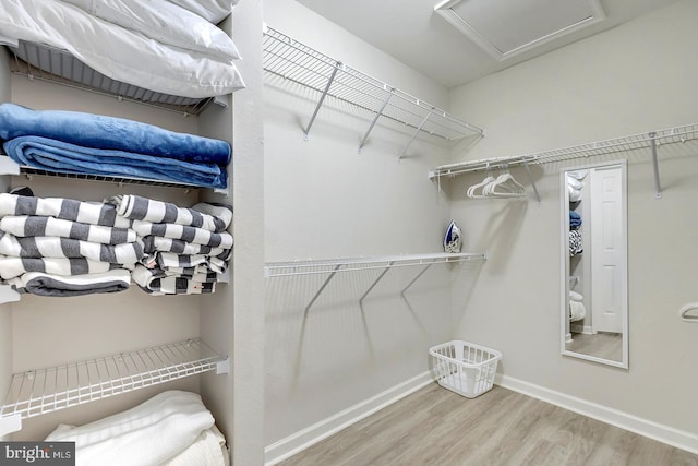 spacious closet featuring wood-type flooring