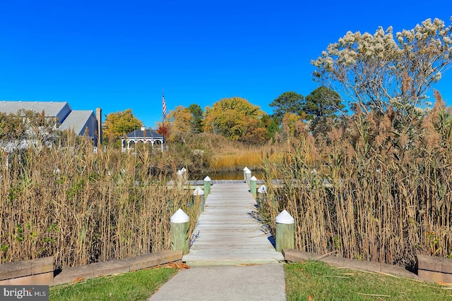 view of community with a boat dock