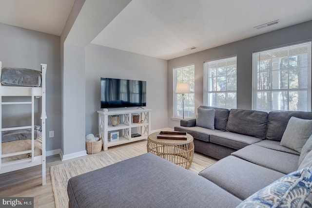 living room featuring wood-type flooring