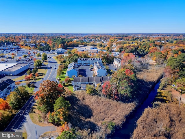 bird's eye view