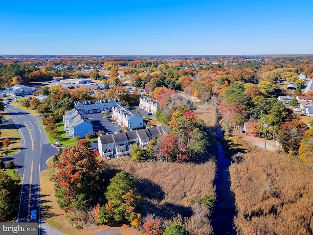 bird's eye view