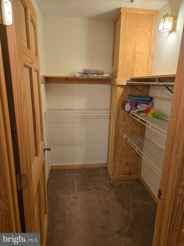spacious closet featuring carpet flooring