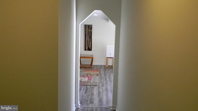 hallway with hardwood / wood-style floors