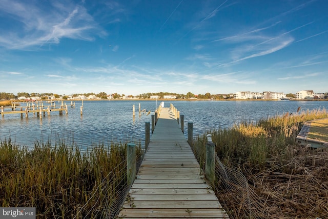 dock area with a water view