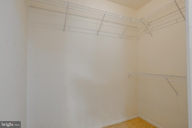 spacious closet with carpet floors