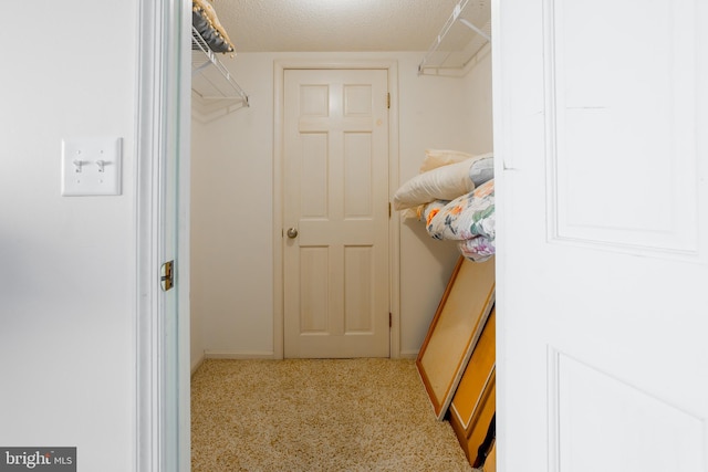 walk in closet featuring light colored carpet