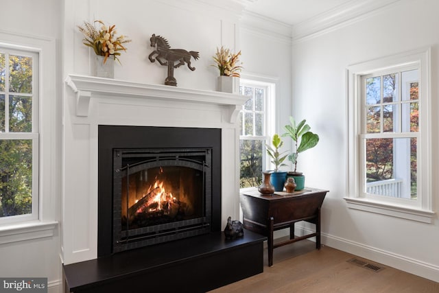 room details with ornamental molding and wood-type flooring