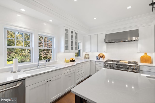 kitchen with wall chimney range hood, white cabinetry, ornamental molding, sink, and stainless steel appliances