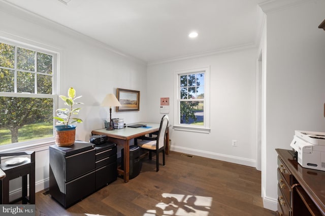 office featuring dark wood-type flooring and crown molding