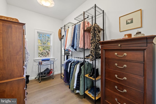 walk in closet featuring light hardwood / wood-style floors