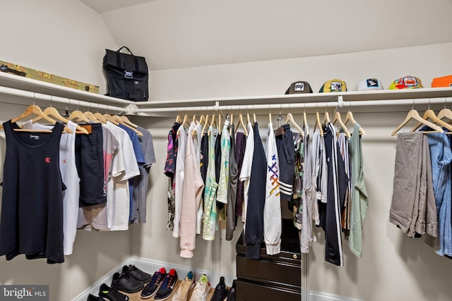 spacious closet with vaulted ceiling