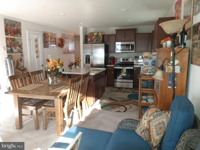 kitchen with dark brown cabinetry, stainless steel appliances, and light colored carpet