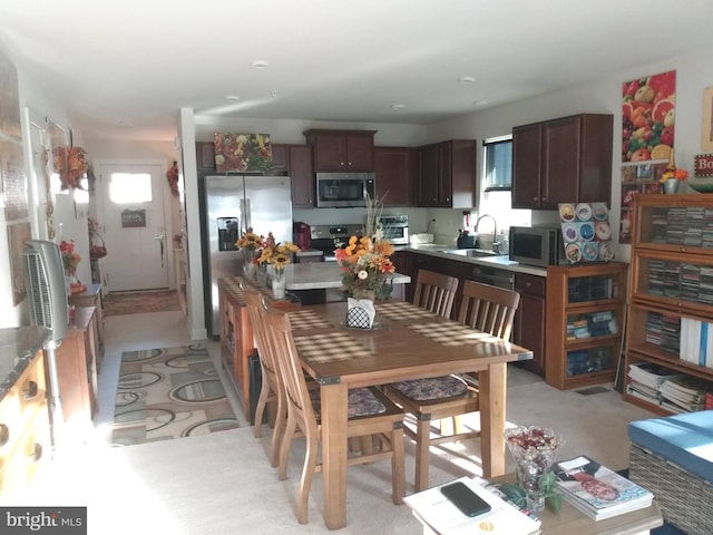 kitchen featuring sink, appliances with stainless steel finishes, light carpet, and dark brown cabinets