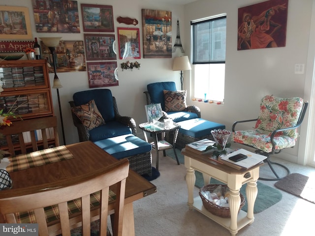 sitting room featuring light carpet