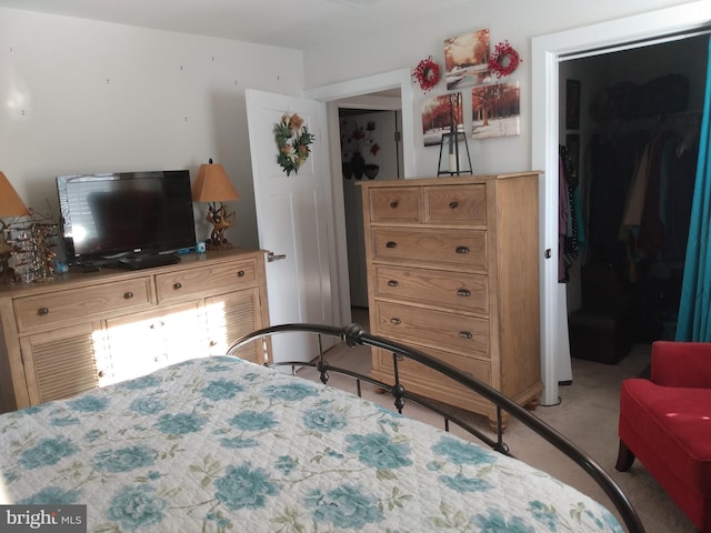 carpeted bedroom with a closet