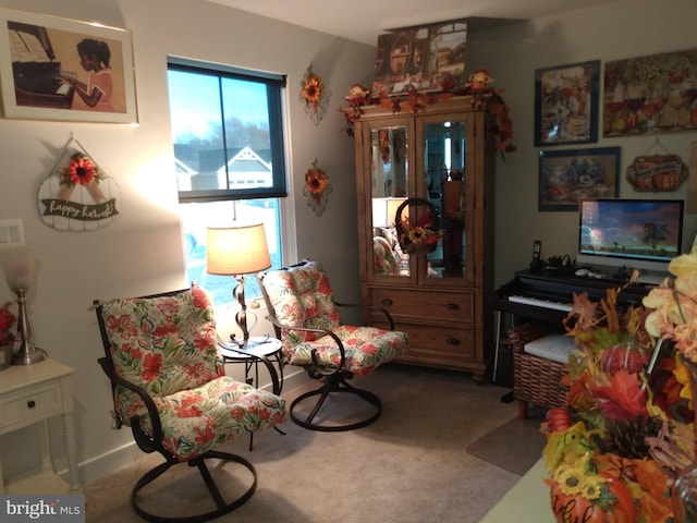 living area with carpet floors