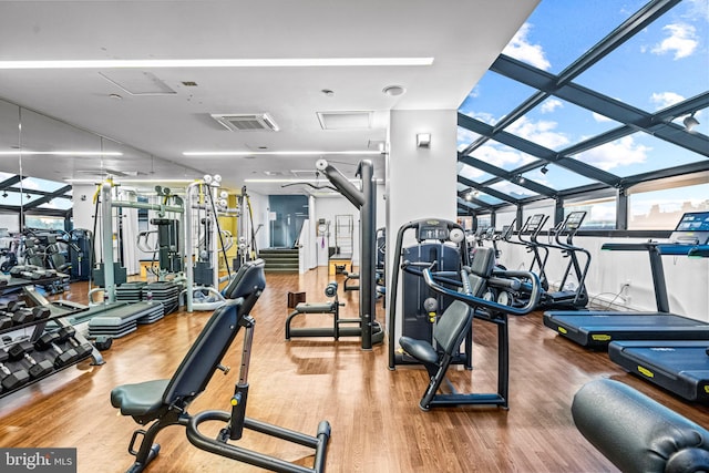 gym featuring ceiling fan, a wall of windows, and wood-type flooring