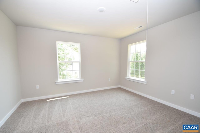 empty room featuring carpet flooring and a wealth of natural light