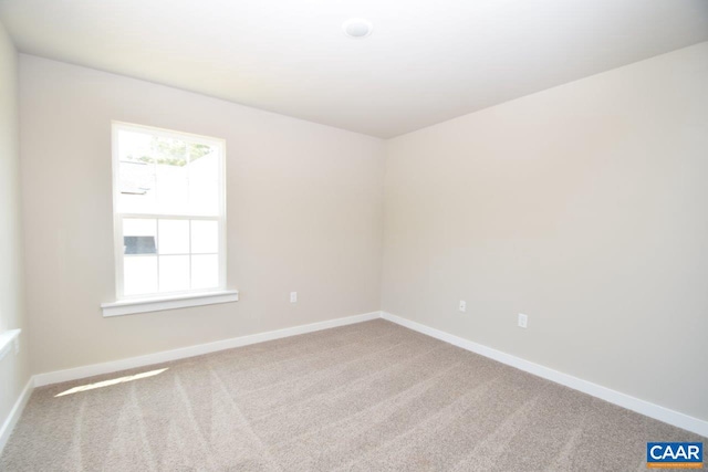 spare room with carpet floors