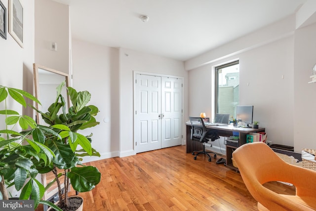 office area with light hardwood / wood-style flooring