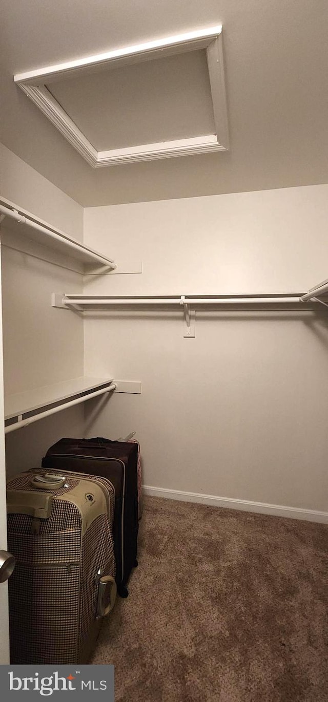 walk in closet with carpet