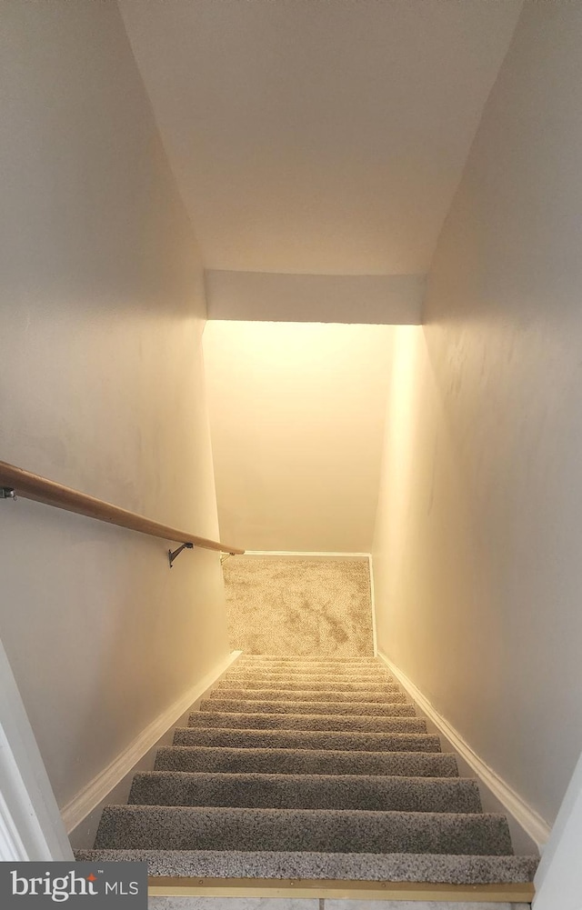 stairs with carpet floors