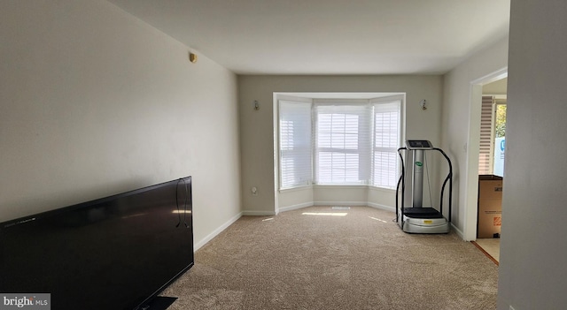 exercise room featuring carpet