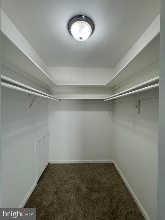 10204 Prince Pl Unit 3-308, Upper Marlboro, MD 20774 - walk in closet with dark carpet