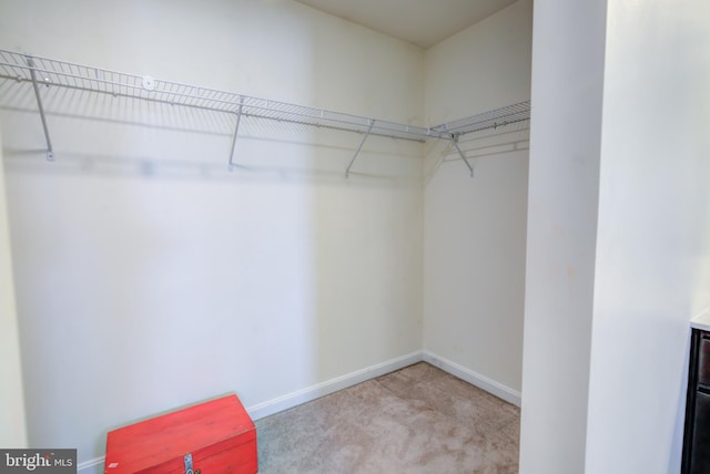 walk in closet with light carpet