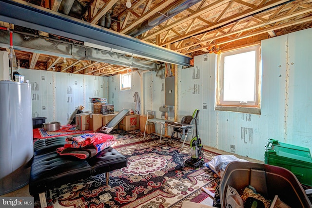 basement with electric panel and plenty of natural light