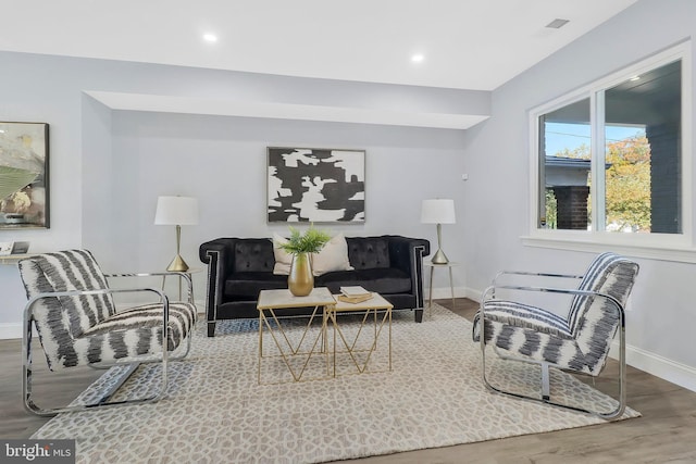 living room with hardwood / wood-style floors