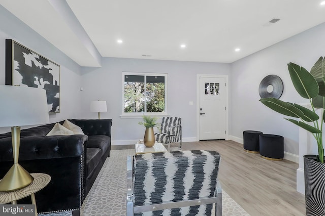 living room featuring light wood-type flooring