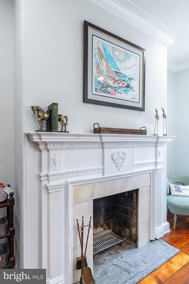 room details with hardwood / wood-style flooring, ornamental molding, and a high end fireplace