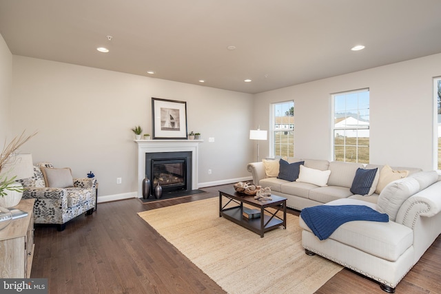 living room featuring hardwood / wood-style flooring