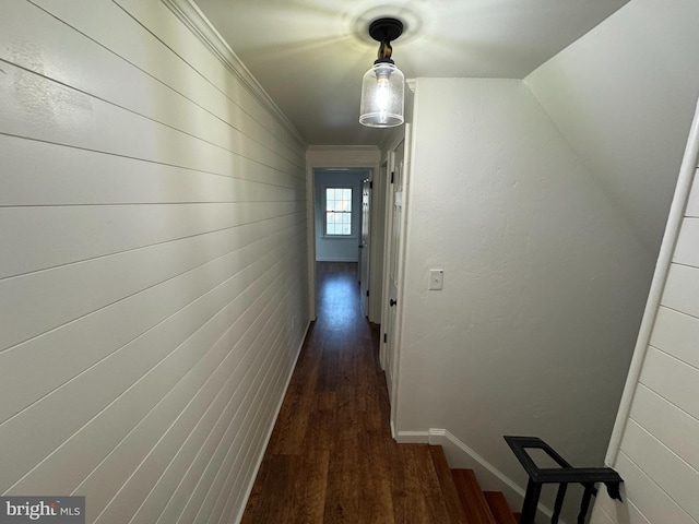 hall featuring dark hardwood / wood-style flooring and crown molding