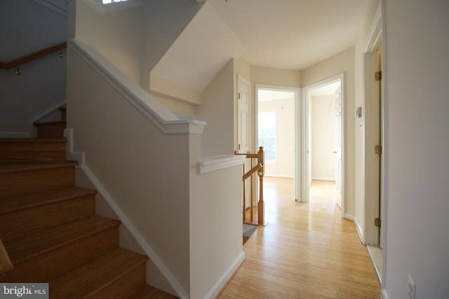 staircase featuring hardwood / wood-style floors