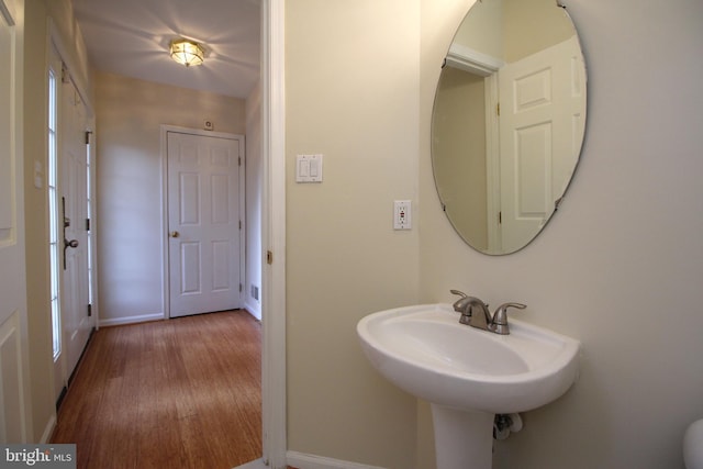 bathroom featuring sink and wood-type flooring